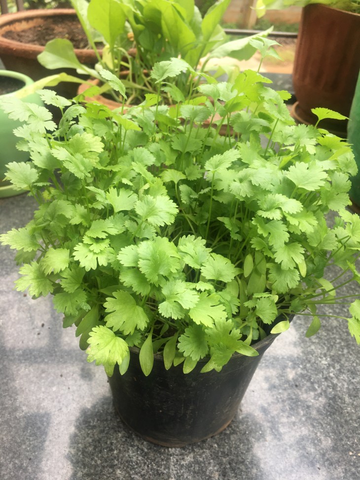 A6B188DA-45F5-4243-9595-CCB61F0C0677